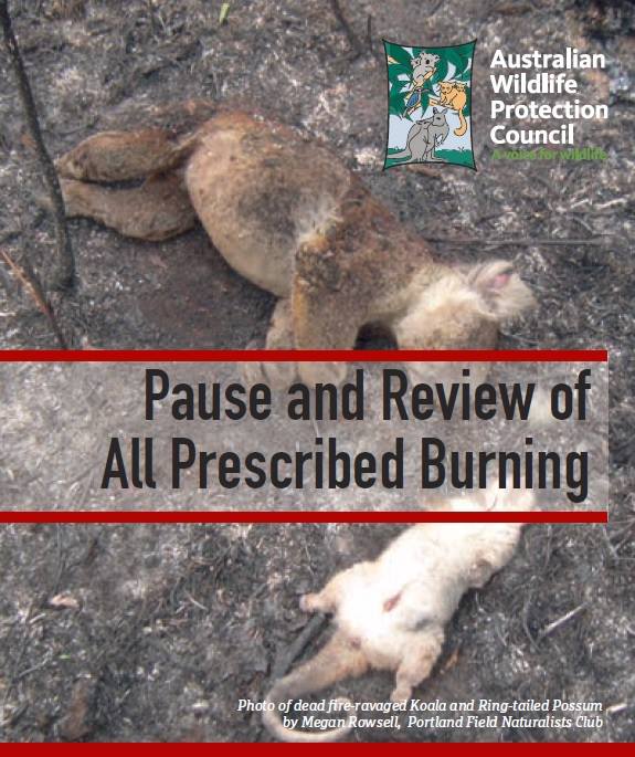 'Pause and Review of All Prescribed Burning'
